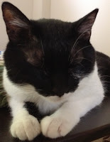 猛暑お見舞い申し上げます