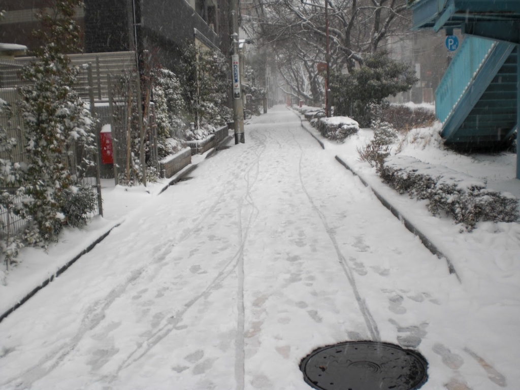 練馬でも記録的大雪
