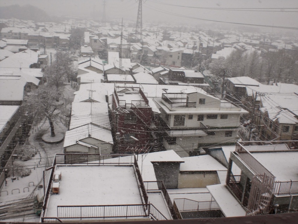 今日は雪でした！