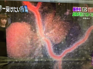 9/12OA；世界一受けたい授業で弊社の映像が使用されました。