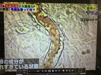 5/2放送；林修の「今でしょ！講座」でご使用いただきました