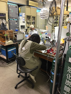 最近の研究室