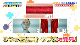 名医とつながる！たけしの家庭の医学に弊社の映像が使用されました。