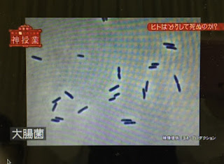 ７月６日OA「超難解！？明日話したくなる神授業」BSフジにて弊社の映像が使用されました！