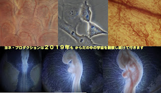 謹賀新年２０１９年もよろしくお願い申し上げます。