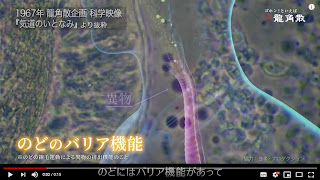 龍角散CMで「気道の繊毛」の映像が使用されました