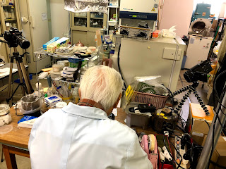 淺香さん久しぶりに現場復帰！！