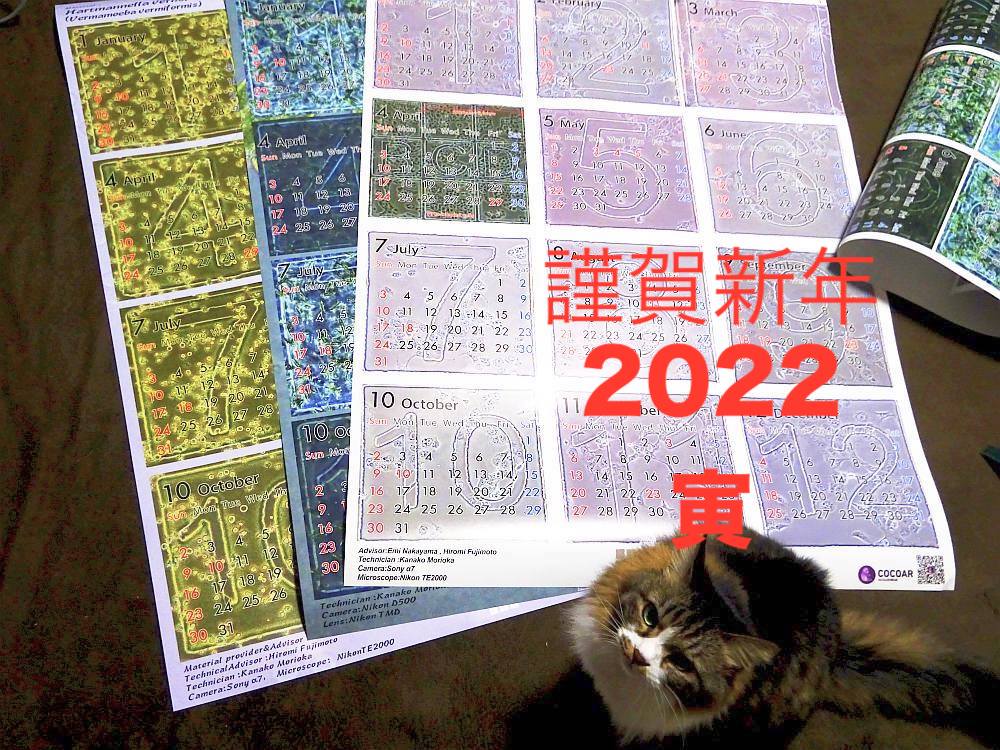 謹賀新年2022年もよろしくお願いいたします。