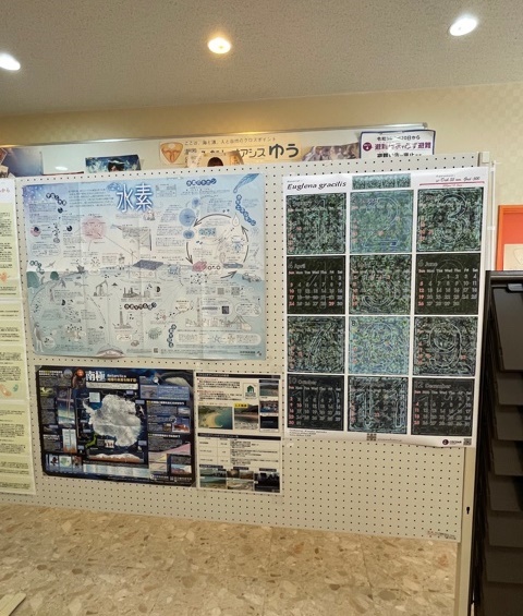 岩国市ミクロ生物館様に飾っていただきました。