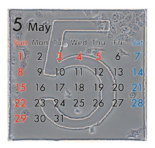 5月になりました。カレンダーARも更新されてます。