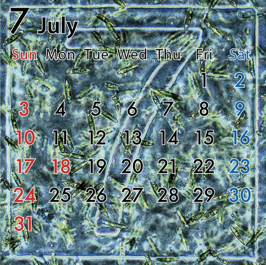 ７月になりました。カレンダーARも更新されています。