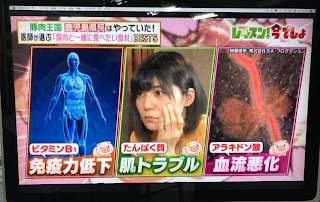 6/7OA林修のレッスン！今でしょに弊社の映像が使用されました