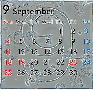 まだまだ暑いけど、9月になりました。カレンダーのARも更新されています。お楽しみください。