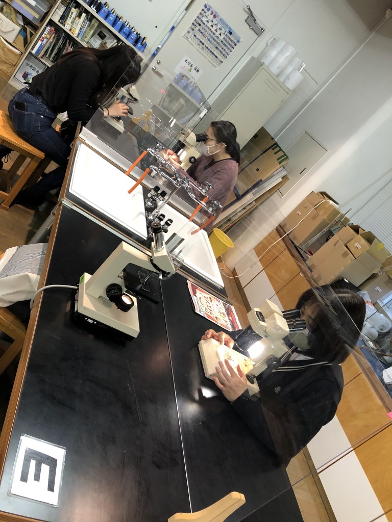 多摩六都科学館の催し〜やり直し理科実習〜顕微鏡を使ってみよう〜のお知らせ