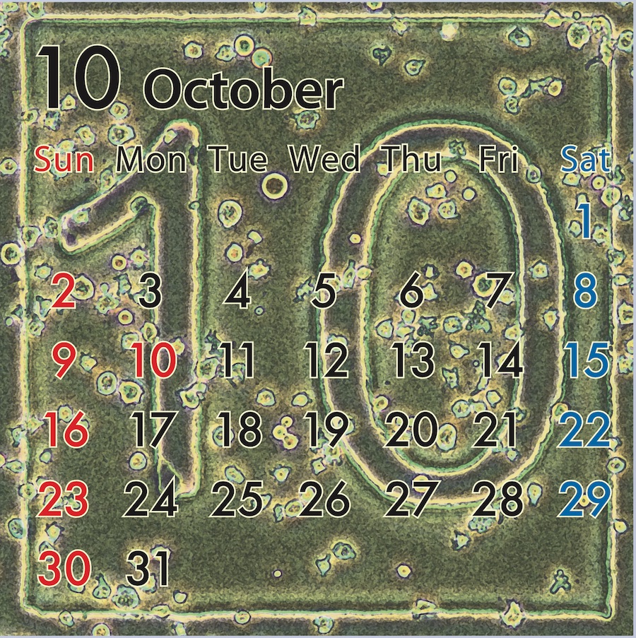 10月になりました。今年もあと３ヶ月！！カレンダーARも更新されています。