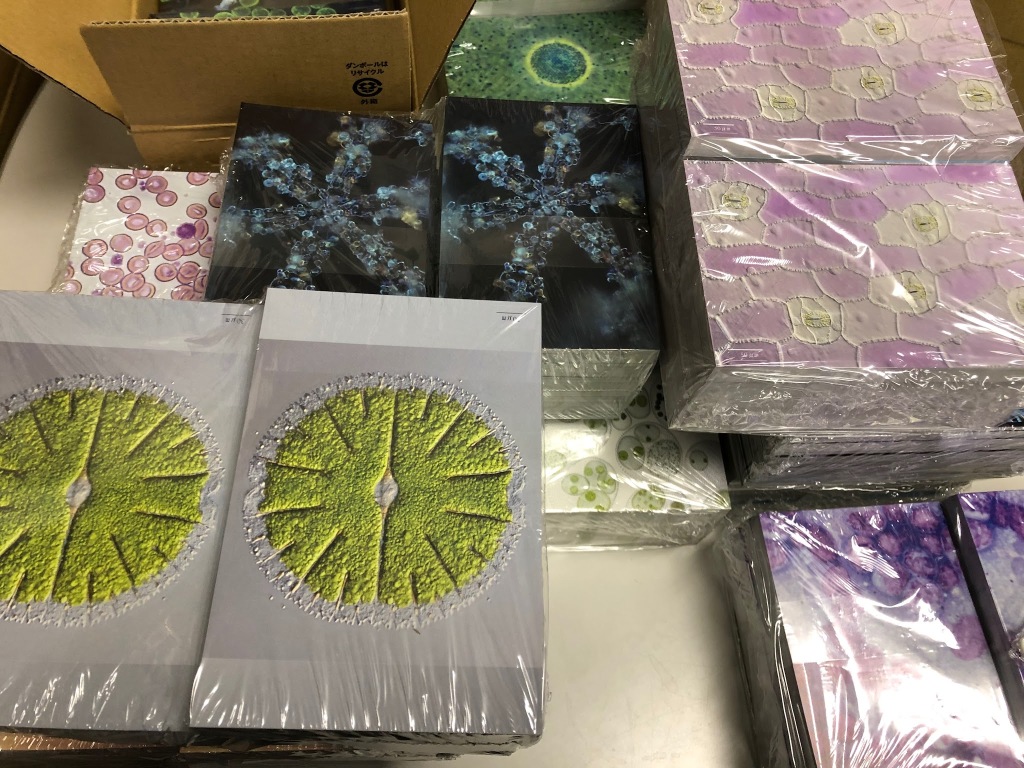ミクロの探検2023絵葉書到着しました！！これから販売開始します。