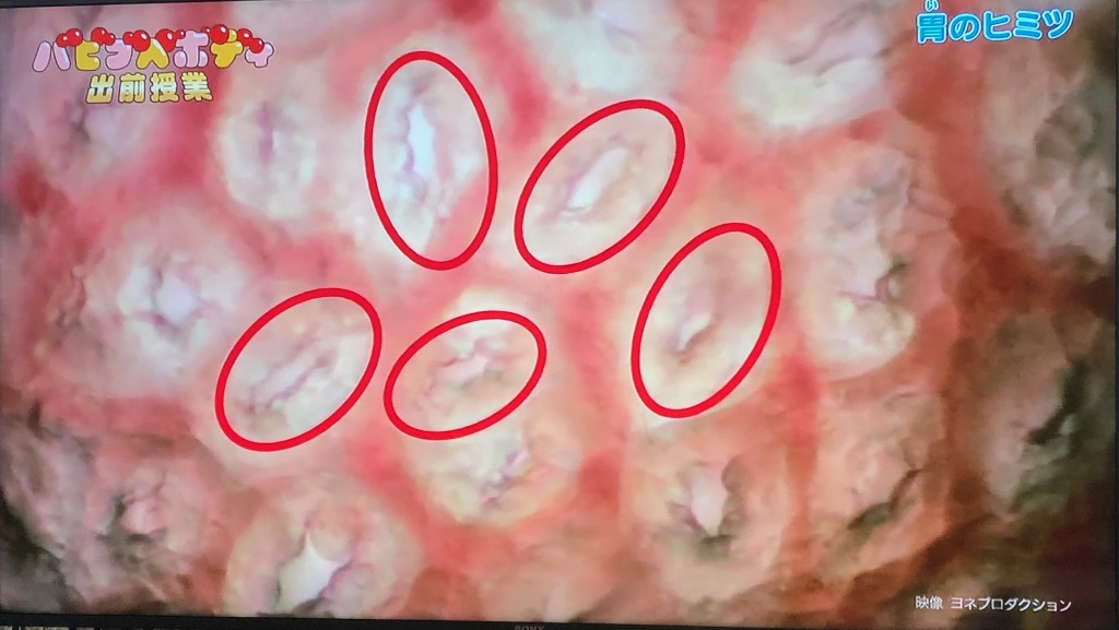 12/29NHK「バビブベボディ 出前授業」で弊社の映像が使用されました。
