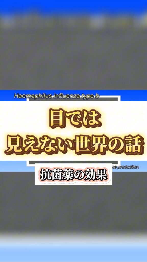 Instagram更新