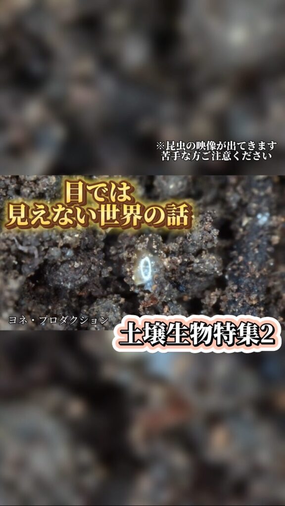 Instagramを更新しました！