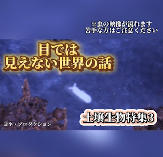 Instagram 土壌生物特集3