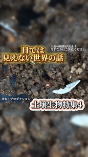 Instagram更新のお知らせ