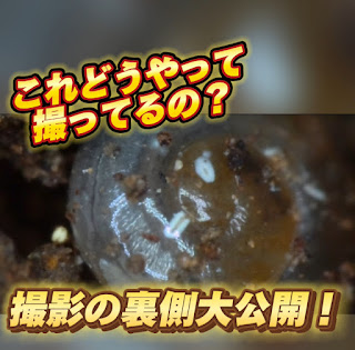 Instagram更新のお知らせ