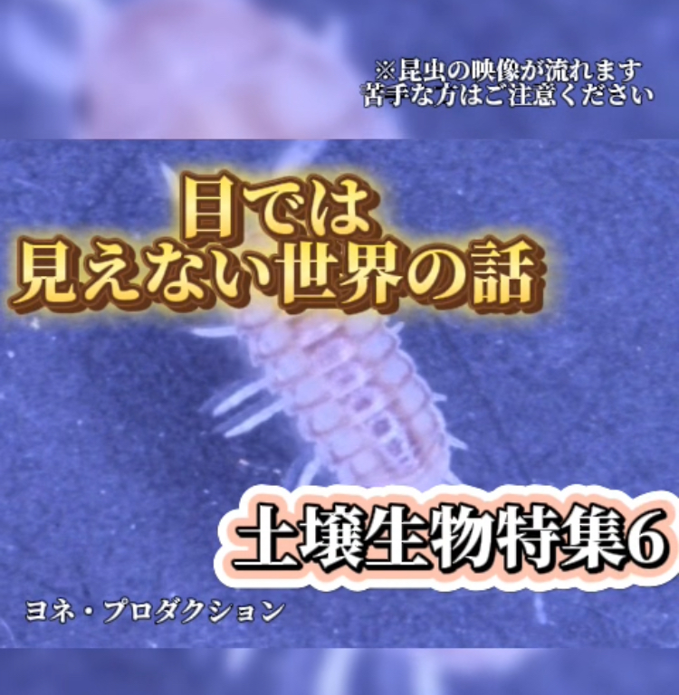 Instagram更新のお知らせ