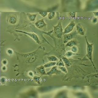 歴史ある貴重映像をSNSで見れる時代になりました