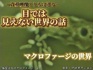 Instagram更新のお知らせ