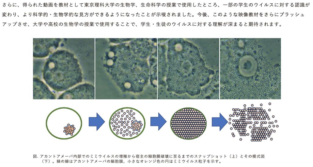 東京理科大学 教養教育研究院教養部の武村 政春教授の論文「Visualization of giant Mimivirus in a movie for biology classrooms」が公開されました