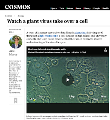 武村先生より「ミミウイルス動画論文について、オーストラリアの科学雑誌「COSMOS」から取材を受けました。」とのこと。