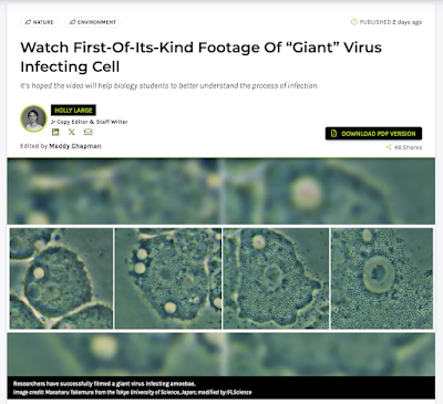 イギリスの「IFLScience」という科学雑誌（オンライン）にも、ミミウイルス動画論文の記事が掲載されました。