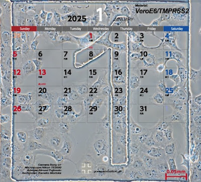 謹賀新年：2025年もよろしくお願い申し上げます。