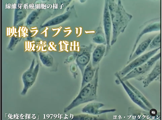 Instagram更新のお知らせ