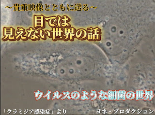 Instagram更新のお知らせ