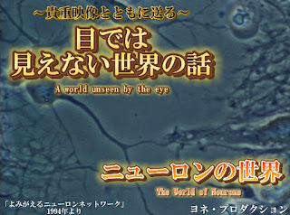 Instagram更新のお知らせ