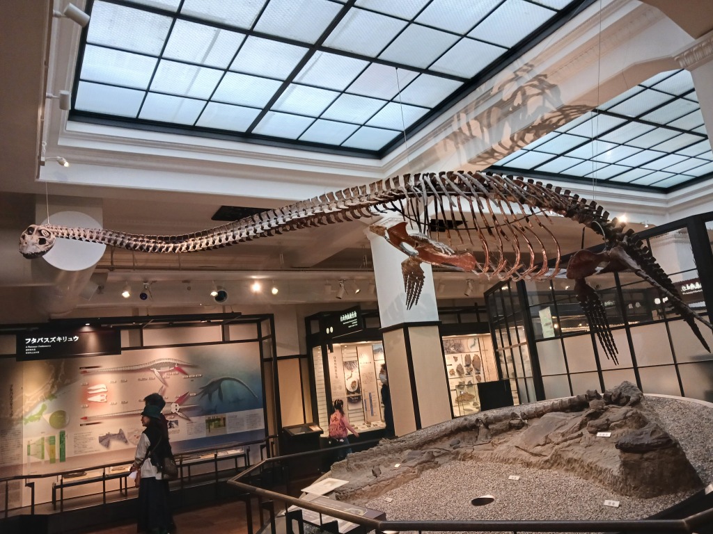 国立科学博物館へ行ってきました