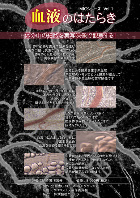 DVD「血液のはたらき」販売開始しました