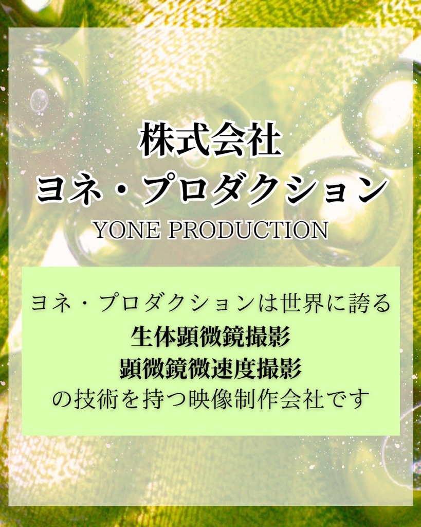 年末年始の営業のお知らせ