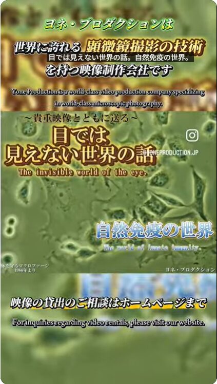 YouTubeショート動画更新のお知らせ✉️