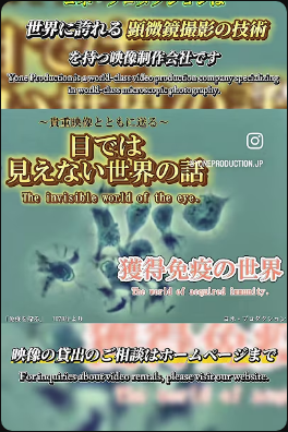 YouTubeショート動画更新のお知らせ✉️