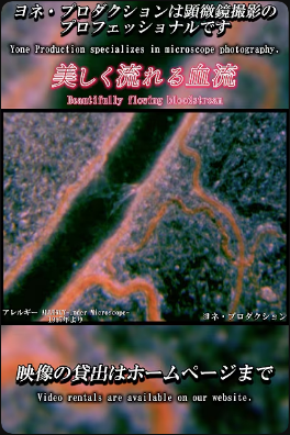 YouTubeショート動画更新のお知らせ✉️