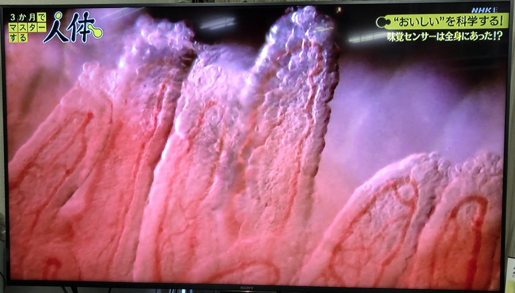 1月14日放送「3か月でマスターする人体 ③“おいしい”を科学する!」にて弊社の映像が使用されました!
